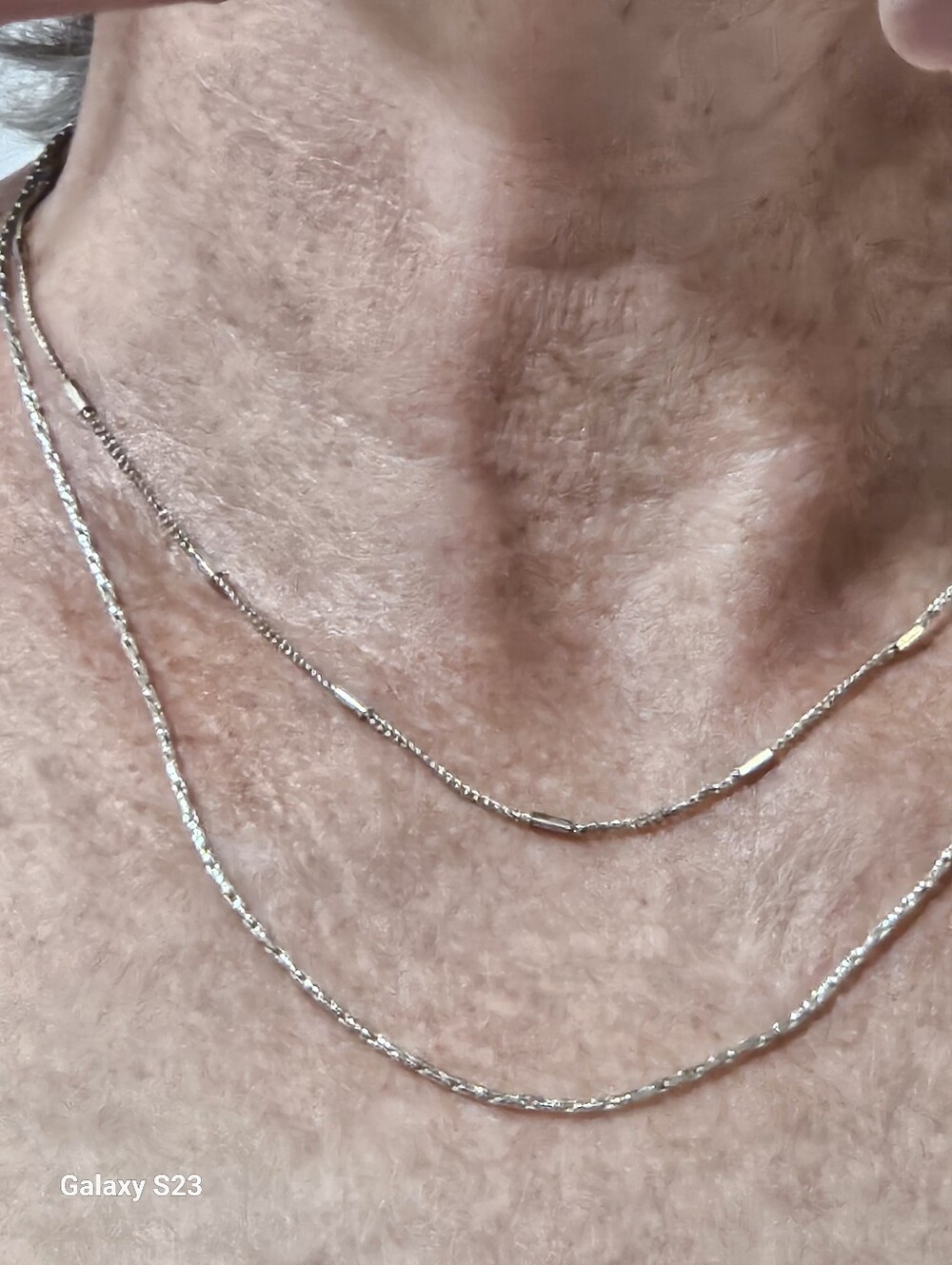 Delicate Double-Layer Silver Jenny Bird Necklace.